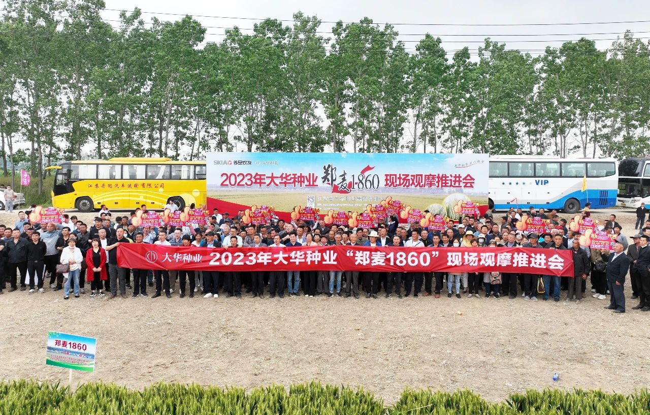 大華種業(yè)“鄭麥1860”現(xiàn)場(chǎng)觀摩會(huì)在淮海成功舉辦