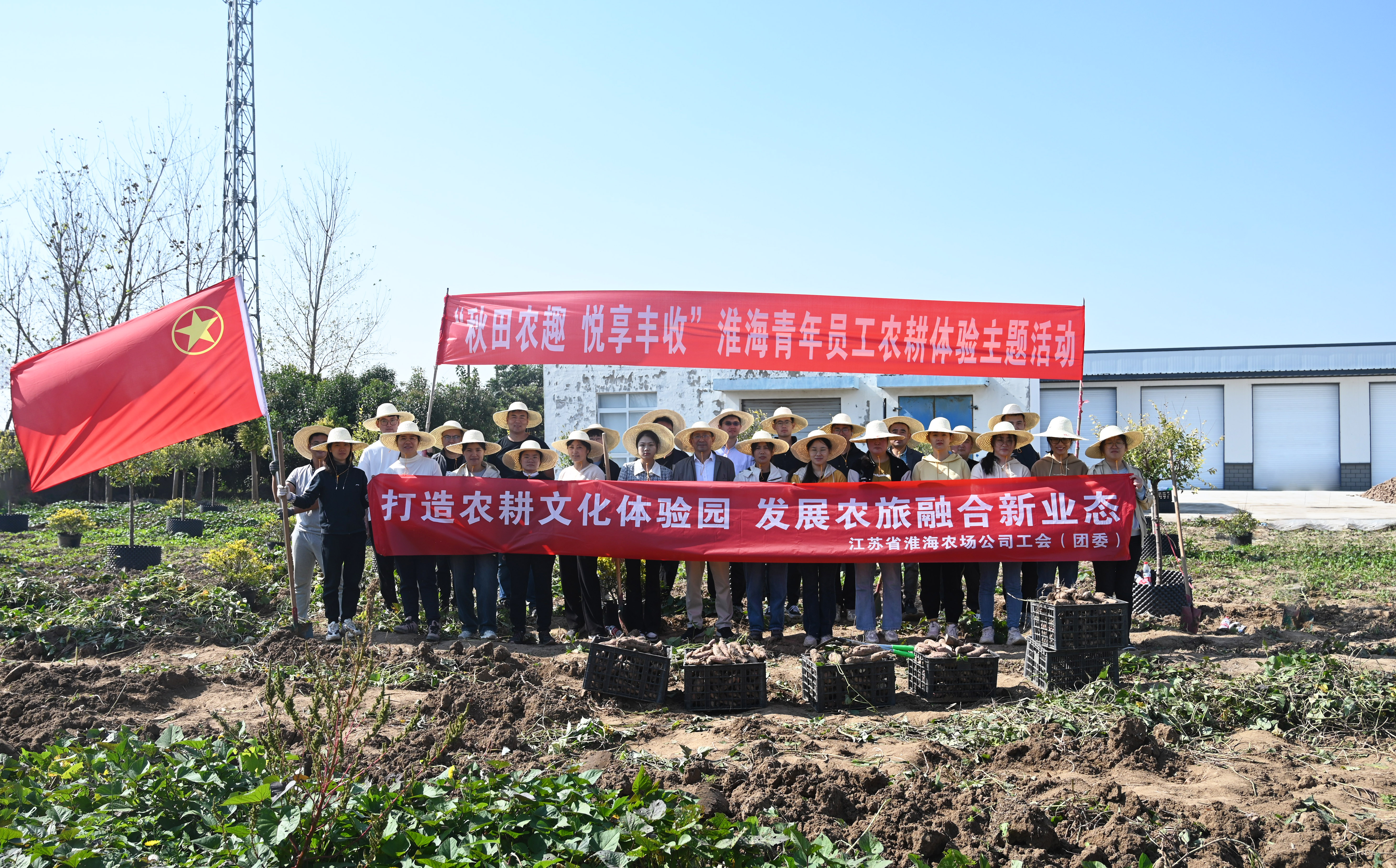 淮海開展“秋田農(nóng)趣 悅享豐收”青年員工農(nóng)耕體驗活動